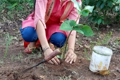 World Environment Day Celebrated by Students